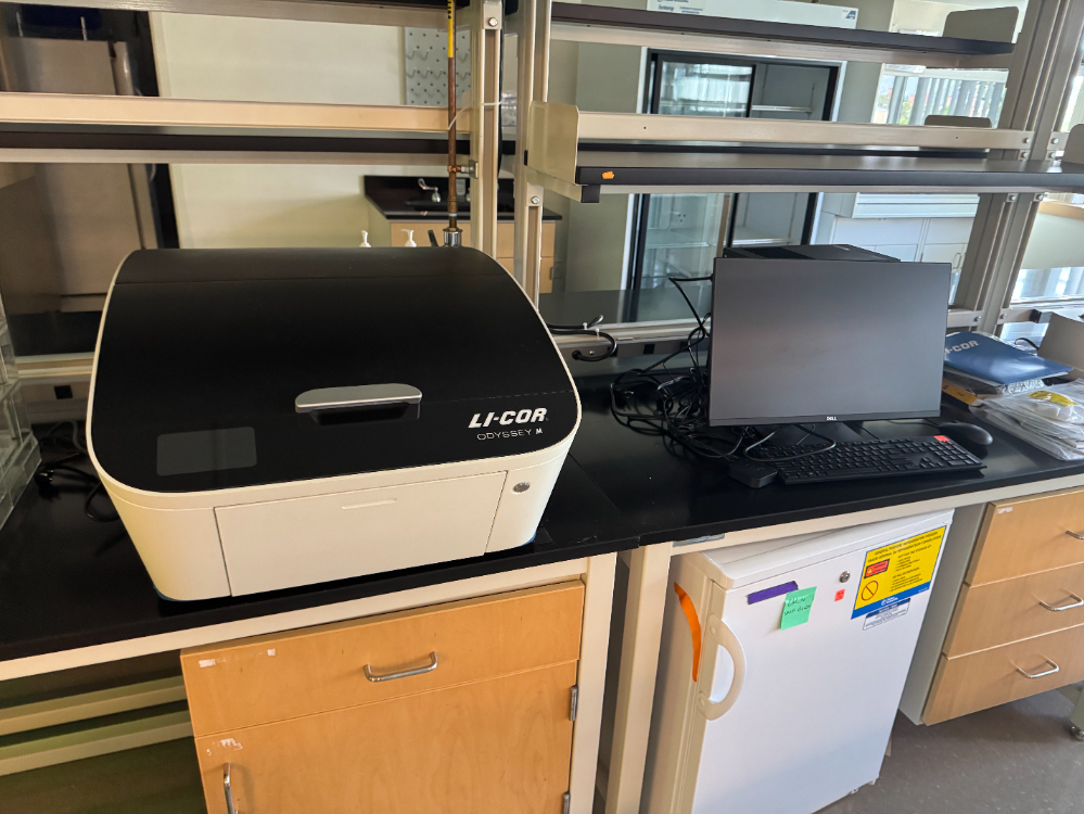 Image of Li-Cor Odyssey M Imager